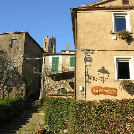 Lo Sdrucciolo Guest house